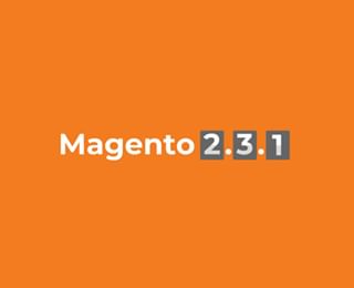 Magento 2.3.1